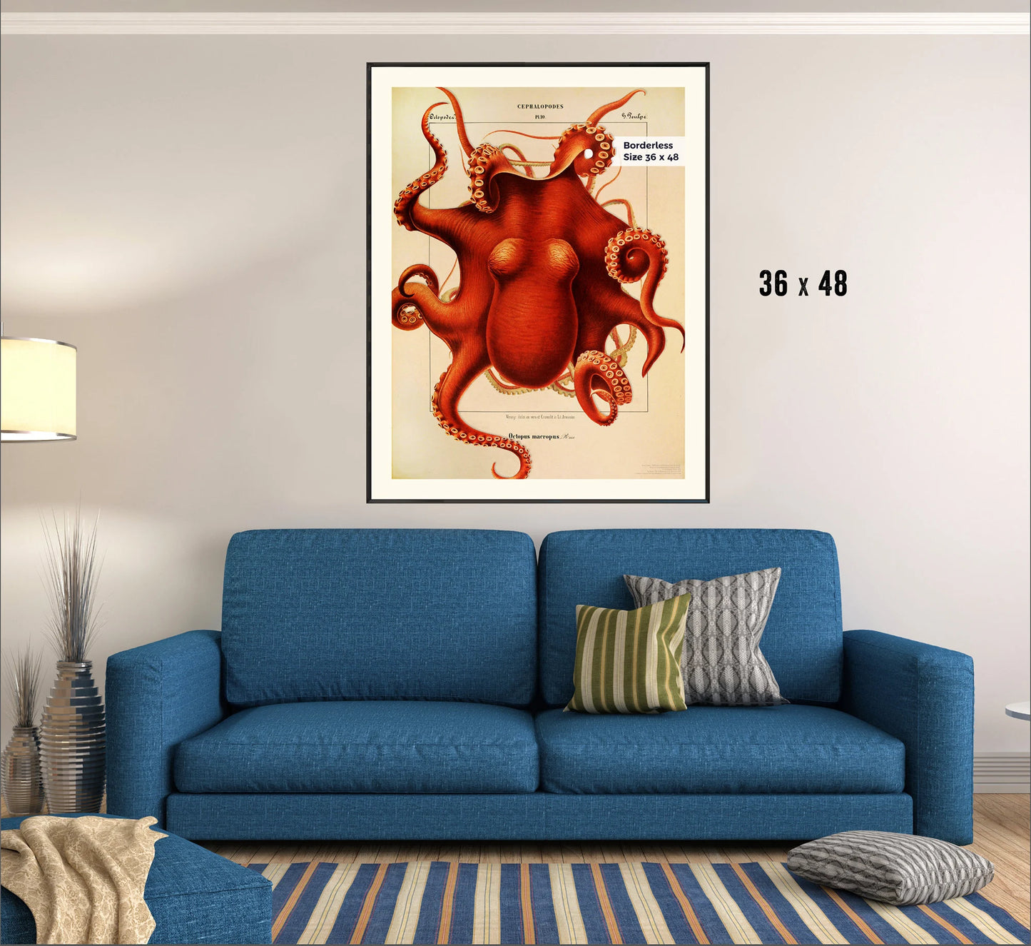 Composite Octopus from 1851 & 1910 - Cephalopod.
