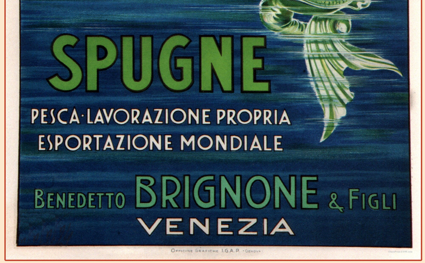 Spugne Mermaid Benedetto Brignone & Figli (Venezia)